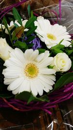 Close-up of white flower