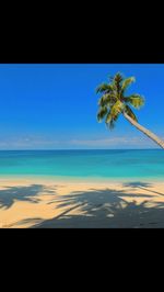 Scenic view of palm trees against blue sky