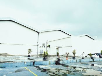 Plants by swimming pool against building against sky