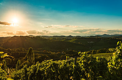 environment