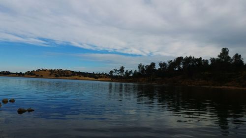 Swans swimming in lake against sky