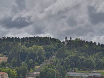 Panoramic view of trees and plants against sky