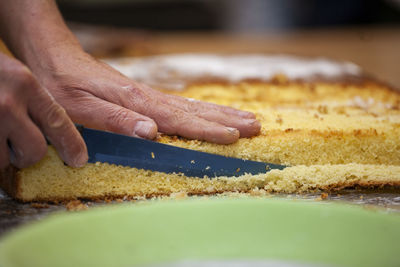 Close-up of person preparing food