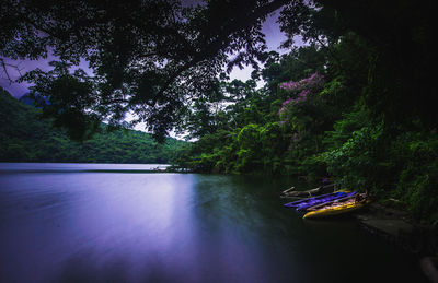 Scenic view of lake by trees against sky