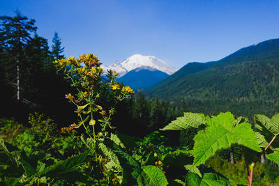 Scenic view of mountains against clear sky