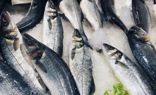 Close-up of fish for sale in market