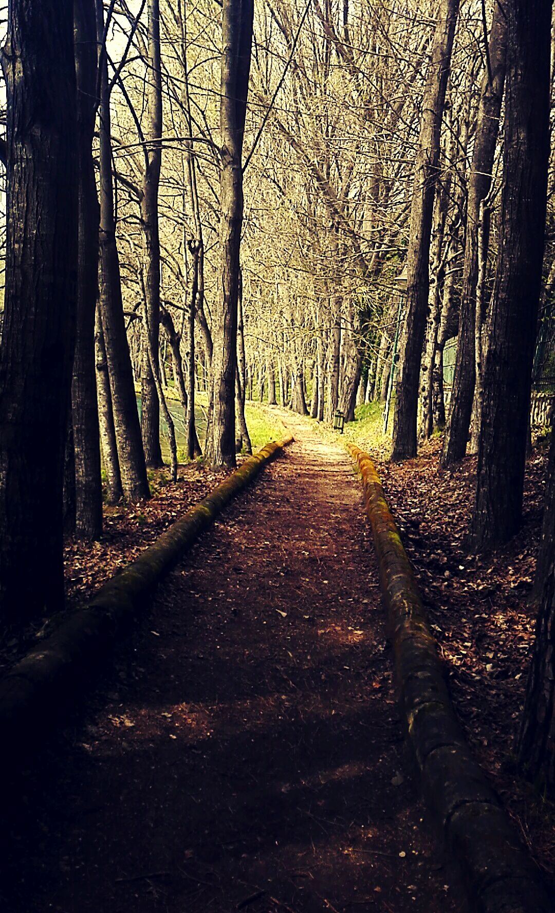 Parco del Grassano