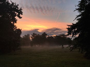 Silhouette trees on field against sky at sunset