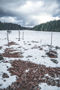 Scenic view of snow covered land against sky