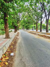 Empty road along trees in city