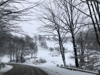 Road amidst bare trees during winter