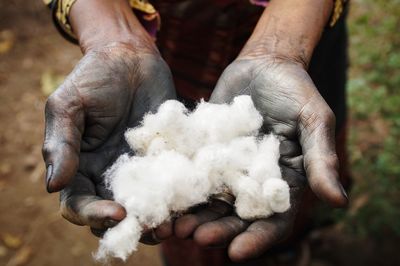 Close-up display of hand holding cotton