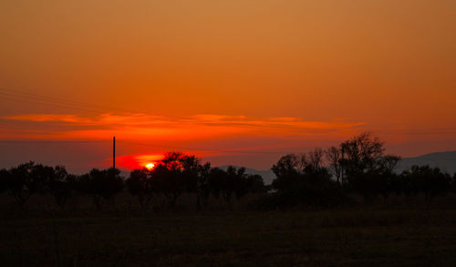 Silhouette trees on field against orange sky