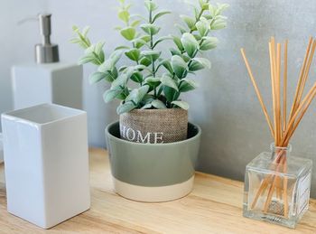 Close-up of potted plant on table