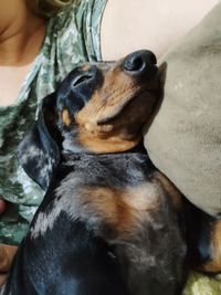 Close-up of dog relaxing on man