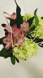 Close-up of flowers