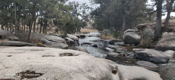 Rocks by river in forest