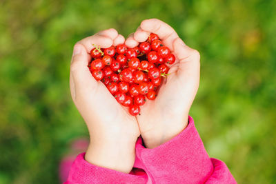 Close-up of woman holding strawberry