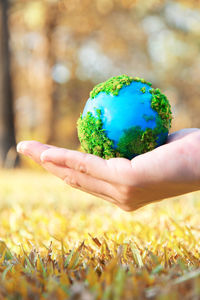 Close-up of hand holding leaf on field