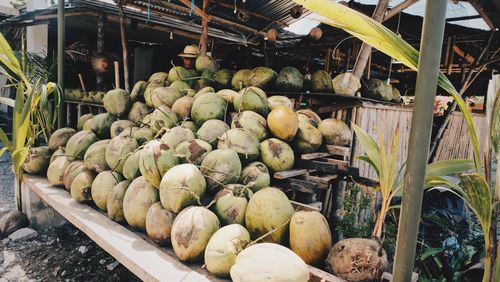 View of fruits in container