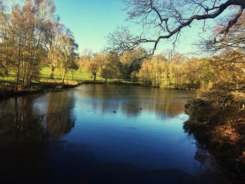 Scenic view of lake in forest against sky