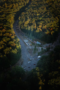 High angle view of road amidst trees in forest