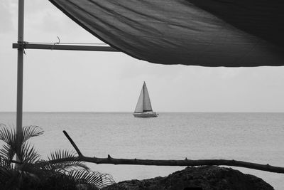 Sailboat sailing on sea against sky