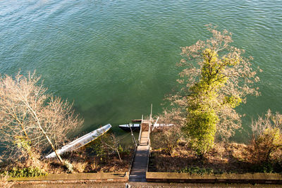 High angle view of plants by sea