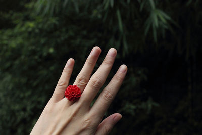 Cropped image of hand holding red plant