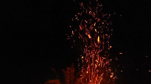 Low angle view of firework display at night