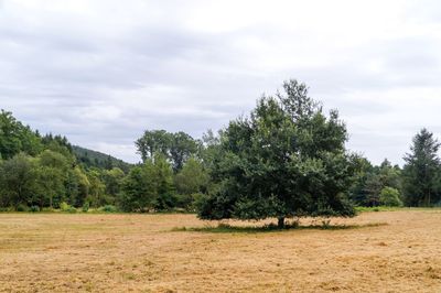 Scenic view of field against cloudy sky