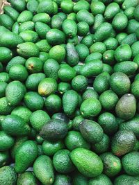 Full frame shot of avocados