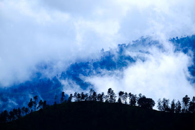 Swirling clouds and silhouette of treeline in front of misty hills. 