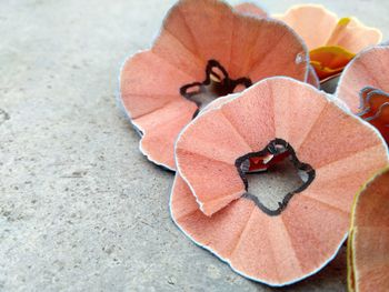 High angle view of orange leaves on land