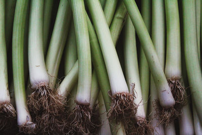 Bamboo food