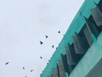 Low angle view of birds flying in city