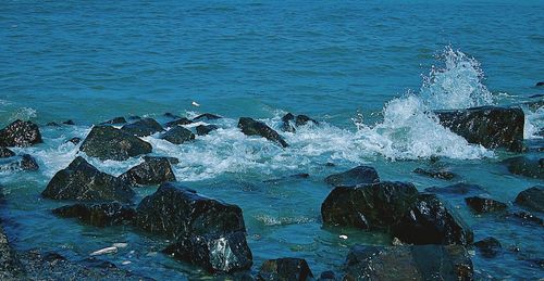 Waves splashing on rocks