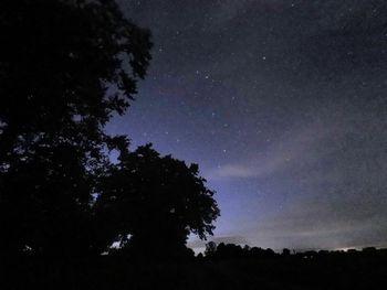 Low angle view of silhouette trees against sky at night