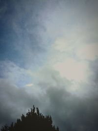 Low angle view of trees against cloudy sky