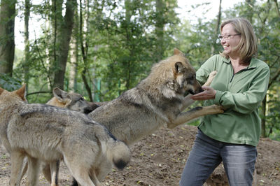 Smiling woman playing with wolf in forest