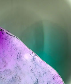 Close-up of purple flower on sea shore