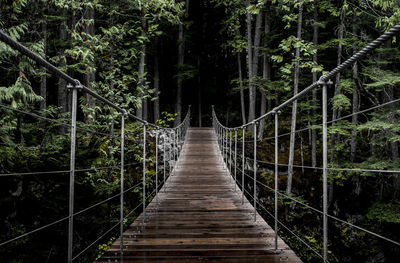 Footbridge in forest 
