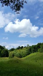 Trees on field against sky