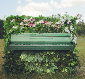 Plants and bench in park