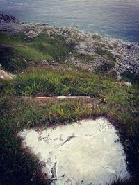 Scenic view of landscape with mountain range in background