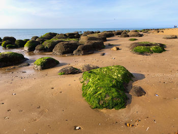 Scenic view of sea shore against sky