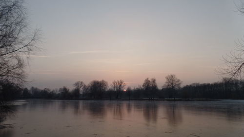 Reflection of bare trees in water