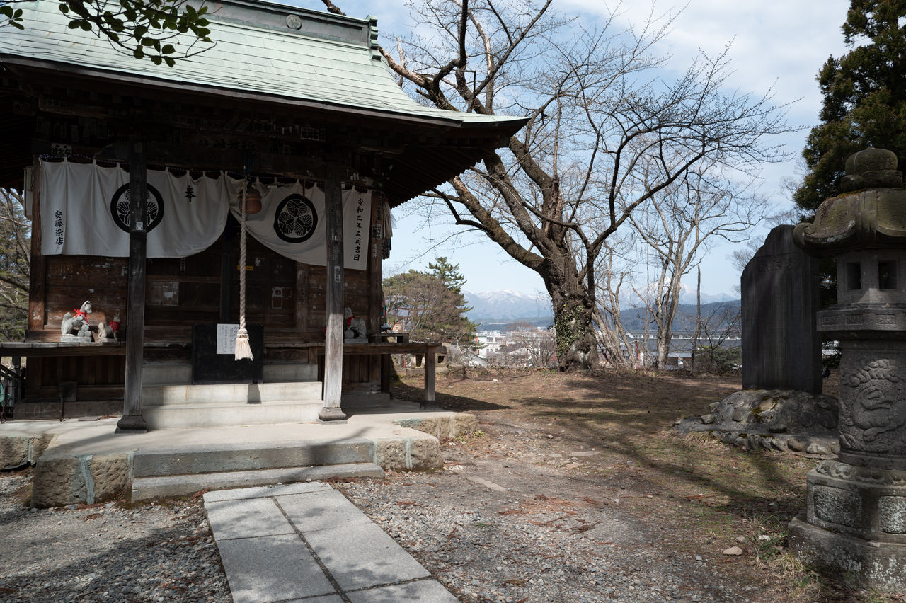 architecture, tree, built structure, plant, building exterior, nature, building, history, the past, no people, religion, sky, temple, day, temple - building, outdoors, belief, bare tree, city, travel destinations, urban area, ancient history, town, tradition, spirituality, house, shrine, place of worship