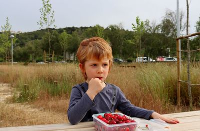 A blond boy takes a bite of a cherry and looks thoughtfully into the distance.  