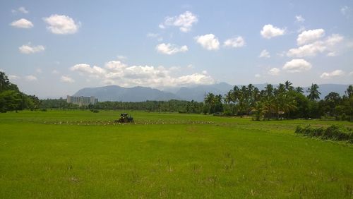 Scenic view of green field against sky